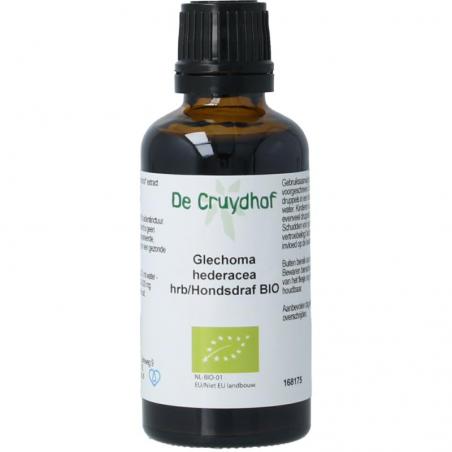 Glechoma hederacea/hondsdraf bio