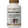 Testosteron support