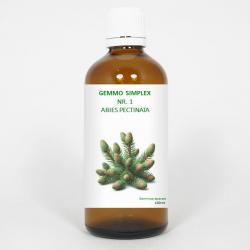 Gemmo simplex 1 abies pectinata