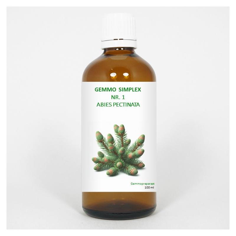 Gemmo simplex 1 abies pectinata
