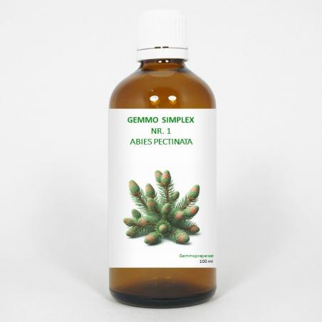 Gemmo simplex 1 abies pectinata