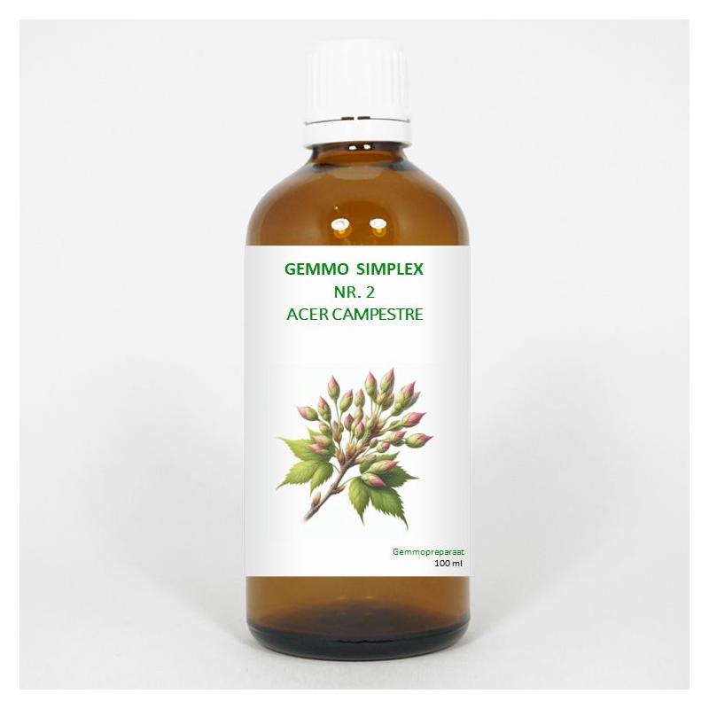 Balance Pharma Gemmo simplex 2 acer campestre