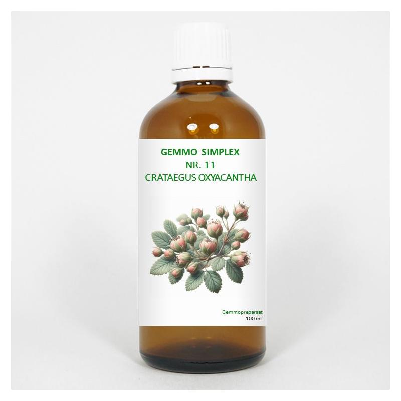 Balance Pharma gemmo simpl 11 crateagus axya