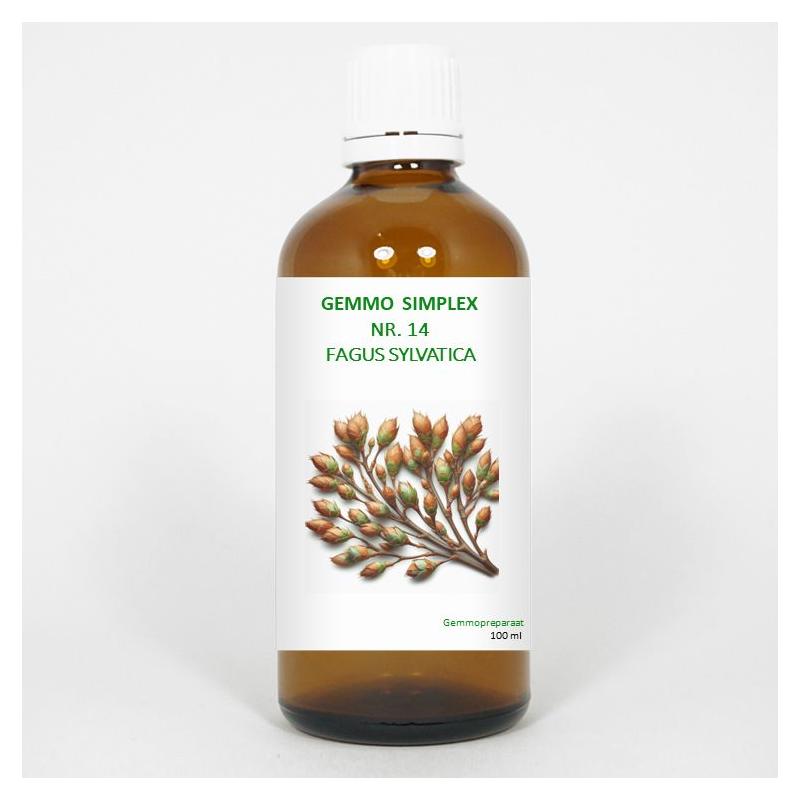 Balance Pharma gemmo simpl 14 fagus sylvatica