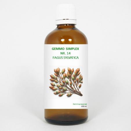 Balance Pharma gemmo simpl 14 fagus sylvatica