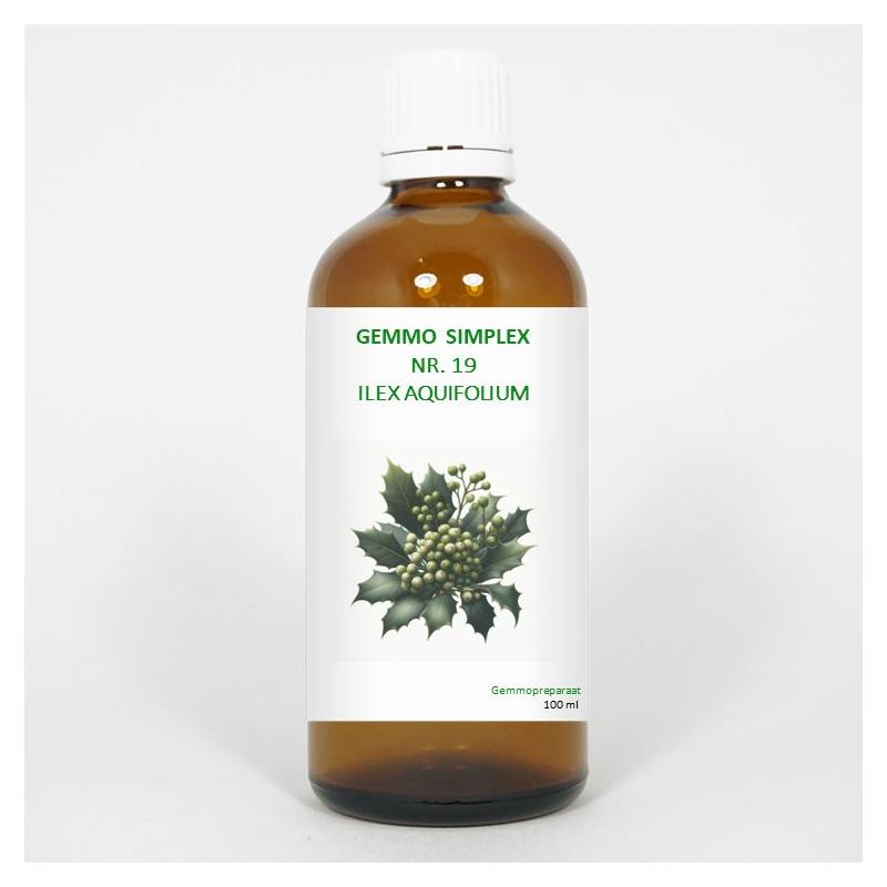 Balance Pharma gemmo simpl 19 ilex aquifolium