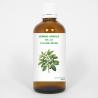 Balance Pharma gemmo simpl 20 juglans nigra