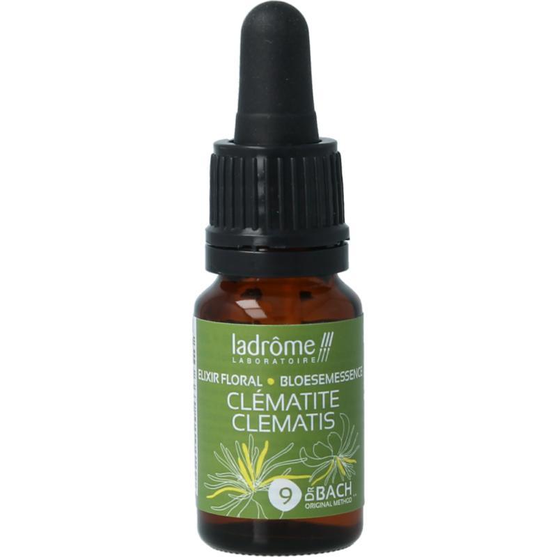Ladrome clematis bio