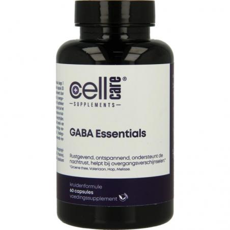 Gaba essentials