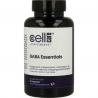 Gaba essentials