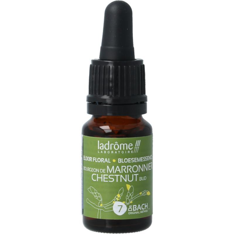 Ladrome Chestnut bud bio