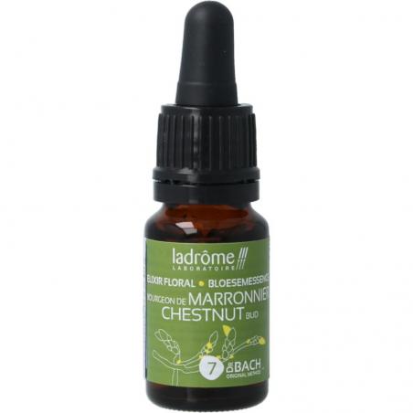 Ladrome Chestnut bud bio