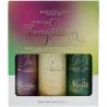 Bodygliss tropical tempt three-pack tr e