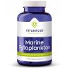 Vitakruid marine fytoplanton