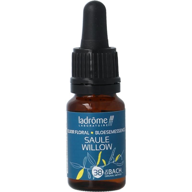 Ladrome Willow bio