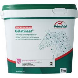 Primeval Gelatinaat paard