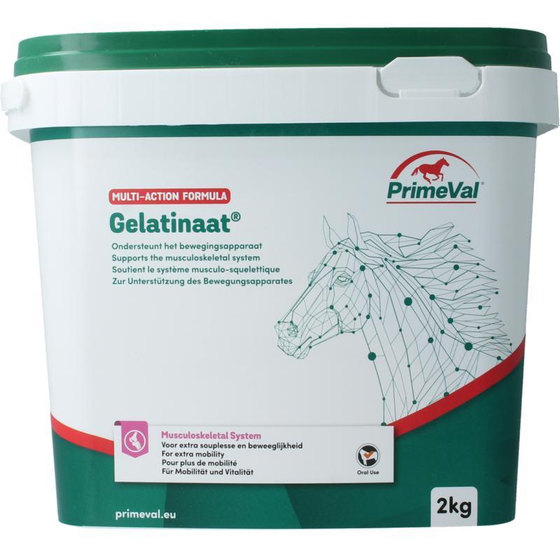 Primeval Gelatinaat paard