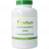 Elvitum glucosamine msm chondroitine