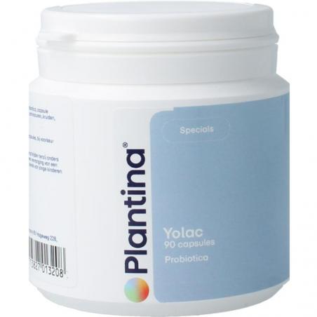 Plantina Yolac