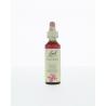 Crab apple/appel