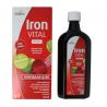 Hubner iron vital vloeibaar ijzer xl