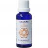 Vita chakra 2 sacraalchakra oranje