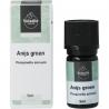 Anijs groen