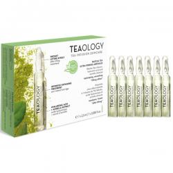 Matcha tea ultra firming ampoules