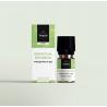 Geranium bourbon