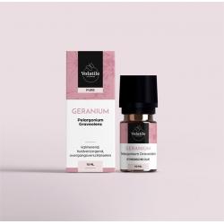 Geranium