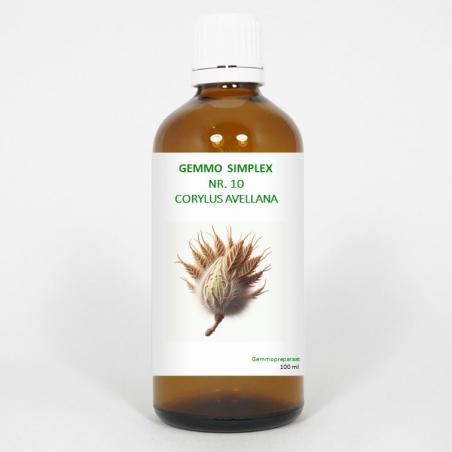 Gemmo simplex 10 corylus avellana