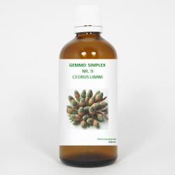 Gemmo simplex 9 cedrus libani