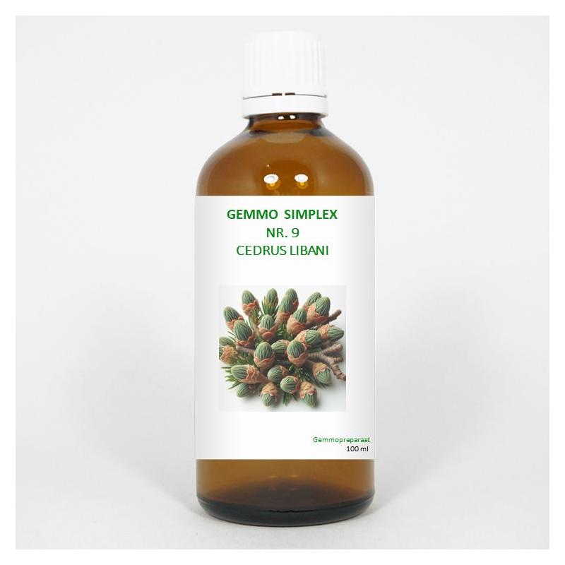 Gemmo simplex 9 cedrus libani