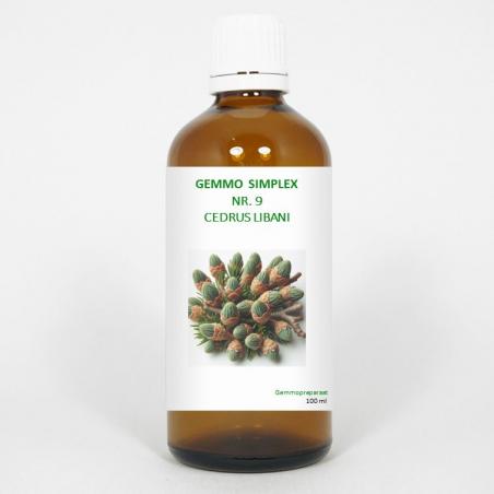 Gemmo simplex 9 cedrus libani