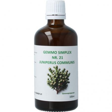 Gemmo simplex juniperus communis