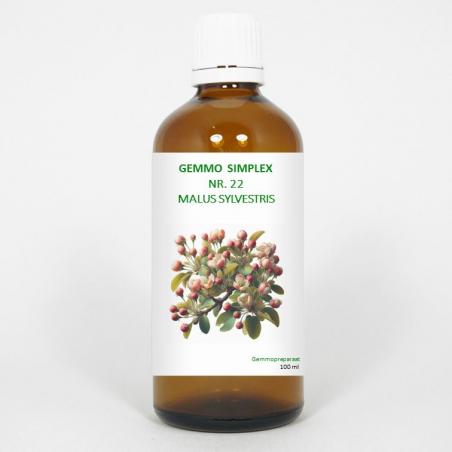 Gemmo simplex 22 Malus sylvestris