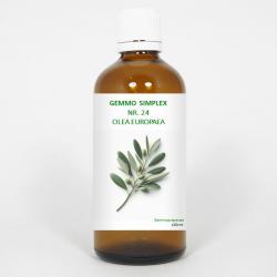 Gemmo simplex 24 olea europaea