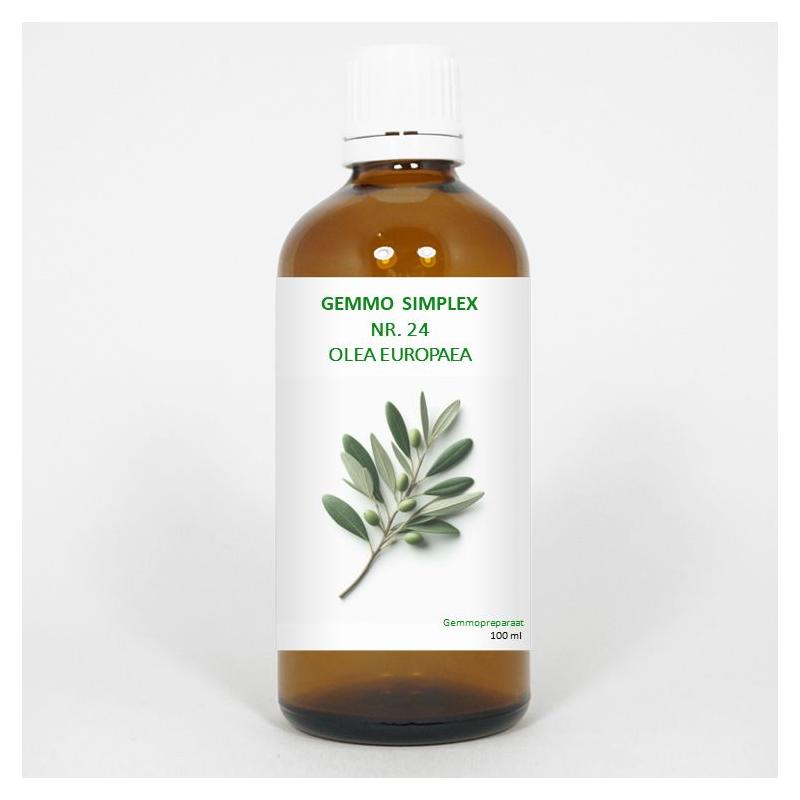 Gemmo simplex 24 olea europaea