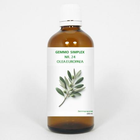 Gemmo simplex 24 olea europaea