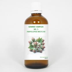 Gemmo simplex 5 ampelopsis weitchii