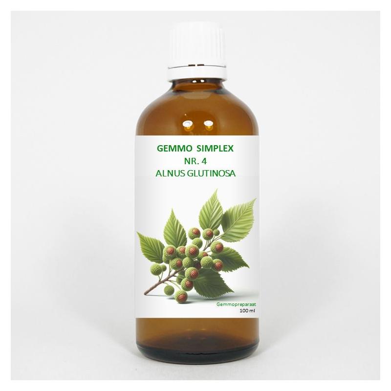 Gemmo simplex 4 alnus glutinosa