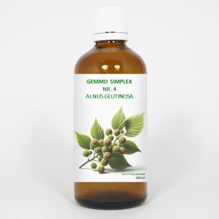 Gemmo simplex 4 alnus glutinosa