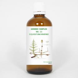 Gemmo simplex 13 equisetum arvense