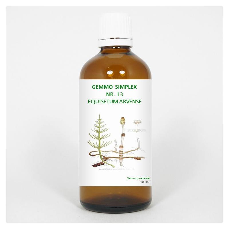 Gemmo simplex 13 equisetum arvense