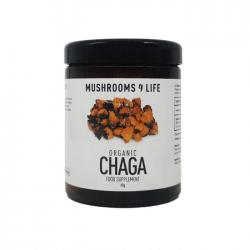 Chaga poeder bio