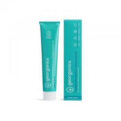 Toothpaste fluor fresh mint tube