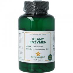 Plant enzymen