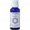 Vita chakra 7 kruinchakra paars