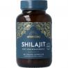 Ayurvediq shilajit
