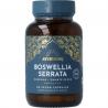 Ayurvediq boswellia serrata